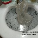무왕로9길 네이버블로그