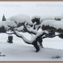 화지10리 이미지