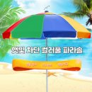 582 이미지