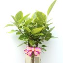 성수일로 이미지