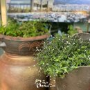 죽성고을 이미지