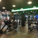 휘트니스 킹콩 이미지