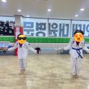 대원 명문 태권도장 이미지