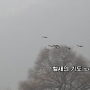 현대시선 밴드 12월의 선정시_철새의 기도_작사 인혜 정은정_작·편곡 SUNO_가수 인혜_기획 producer 윤기영 이미지
