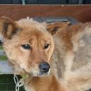 지에스25 송현제네스점 이미지