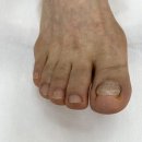 레푸스진주대안점 이미지