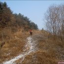 한북정맥~큰넋고개~죽엽산~덕고개 이미지