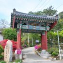 대지-걷기 이미지