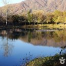 파로호느릅마을 이미지