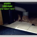 강릉싱크대역류 교동 옥천동 씽크대막힘 배수구 뚫음 악취 차단 배관 뚫는곳