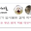 카페.디(CAFE.D) 이미지