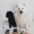 멍루랄라 이미지