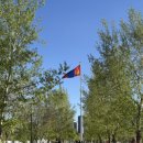 [KPMG Mongolia 파견] 울란바타르에서 살아남기 6주차
