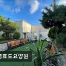 [부산 요양원/추천/후기/가격] 수영효도요양원 부산 수영효도요양원, 전문적인 돌봄 서비스 제공