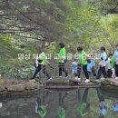 (주)투어스텝 이미지
