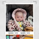 영대동물병원 이미지