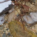 화양황토빌리지 이미지