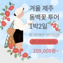 제주테마투어 이미지