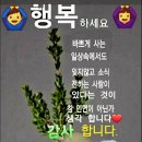 정(情) 이미지