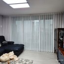 금산느티나무 이미지