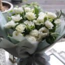 피오리레 이미지