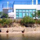 영랑호 카누경기장 이미지