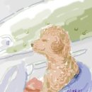 옥동공인중개사사무소 이미지