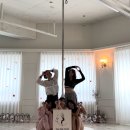 피네폴스튜디오
