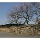 상학돌담길마을 이미지