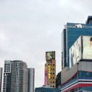 여의도 안상규벌꿀 명절 선물 구입 및 안스허니카페 후기+주차 정보