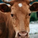 카페&사람 이미지