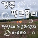 능포마을안길3 | 🌸 2025 경주 가족여행 | 교촌마을·최부자댁·첨성대·핑크뮬리·동궁과 월지 하루코스