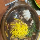오박사 | 대전몸보신을 위한 맛집!, 둔산동 오박사 전복해신탕 청사점 후기
