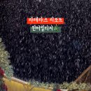 라테라스 스테이 이미지