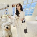 웨글웨글 이미지