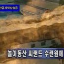 씨랜드