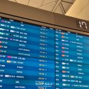 2605 | 7C2605 타고 코타키나발루로 - 샹그릴라 탄중아루 숙박 후기 | 2026 말레이시아