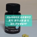 제이뉴어 | 이뉴어바이오 브로멜라인 후기, 붓기·소화 둘 다 잡는 만능템일까?