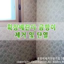 곰팡이헌터 이미지