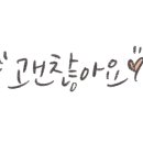 문경 정육점 네이버블로그