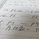 클레오브라인슈림프 이미지