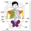 발이야기 이미지