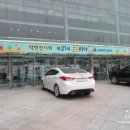 2017 코리아펫쇼 :: 코펫 양재 at센터 다녀온 따끈따끈한 후기 (feat.부스정리)