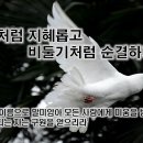 2월 11일(토) 뱀처럼 지혜롭고 비둘기처럼 순결하게! 이미지