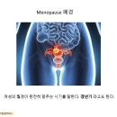 "Menopause 폐경" 이미지