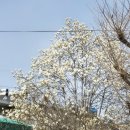 도계도서관 이미지