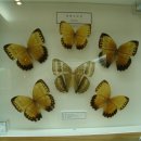 소슬바람 이미지