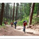 카페송림 이미지