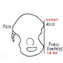 근육 연구소 이미지