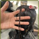 즐거운애견미용실 이미지